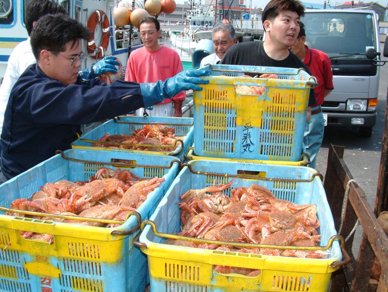 Cua hokkaido Nhật Bản